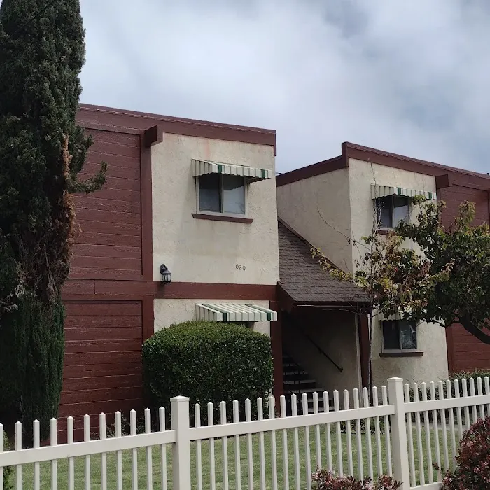 Set Pro Painting Picture 6