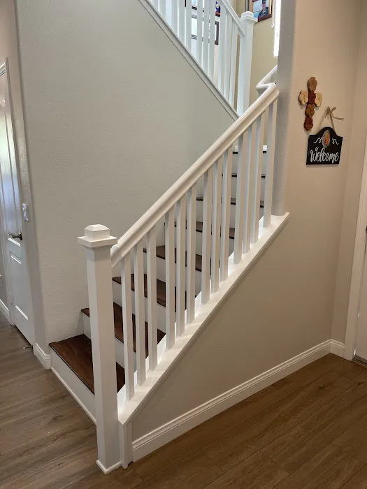 Set Pro Painting Picture 7