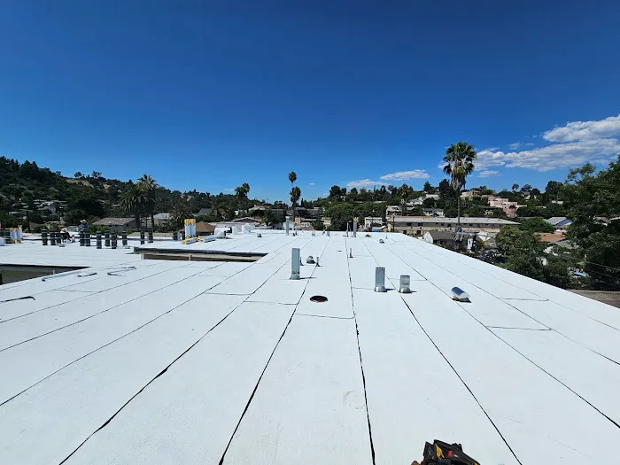 Roof Repair CA Picture 4