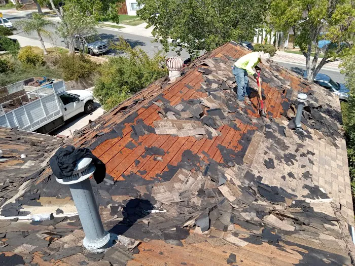 DM Roofing Inc Picture 10
