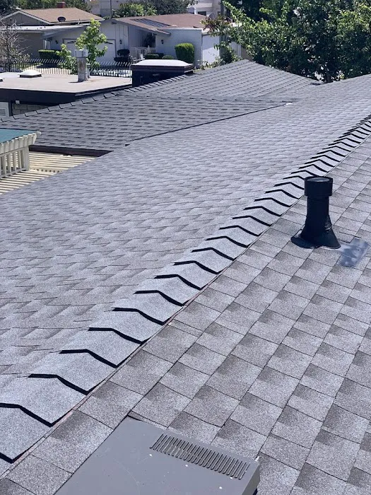 Estrada Roofs Picture 3