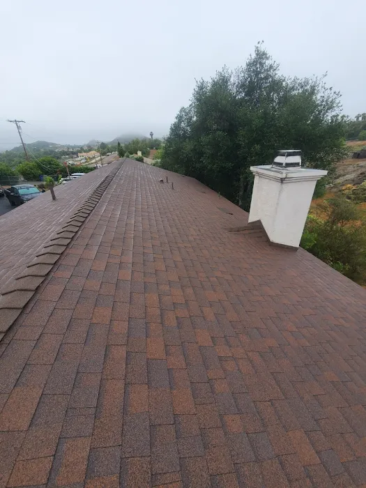 A DUIN-IT Roofing & Construction Picture 6