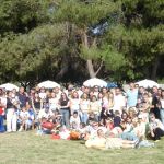 California Energy Contractors