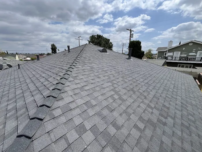 Duro Roofing Picture 3