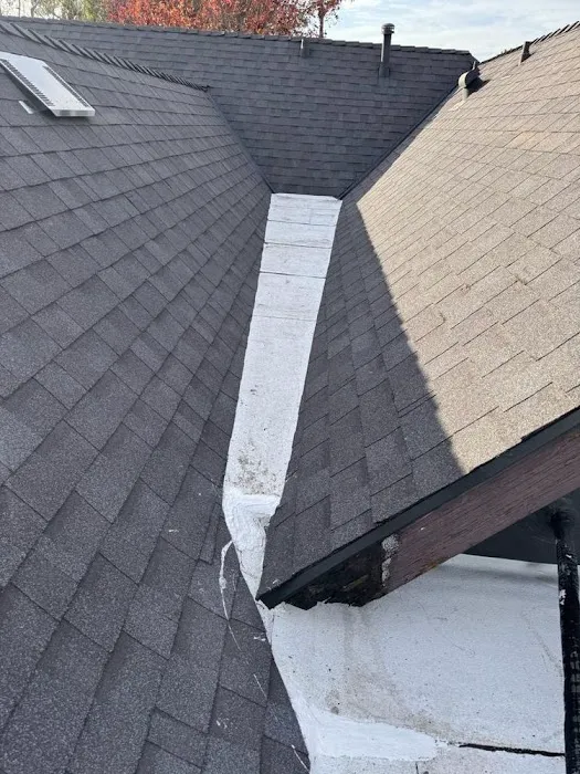 ACE ROOFING GROUP, INC. Picture 2