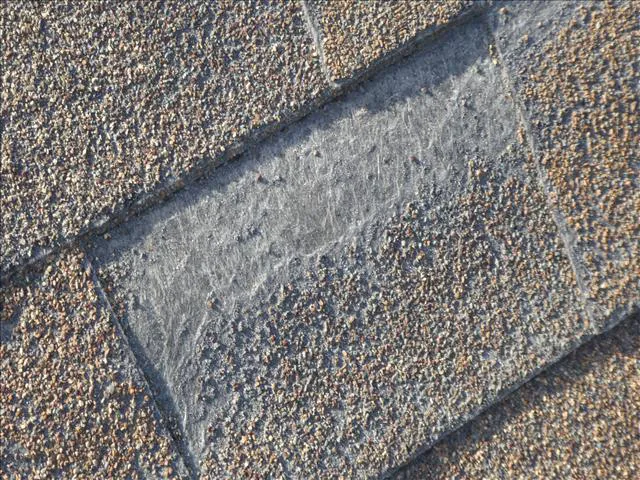Cert-A-Roof Picture 2