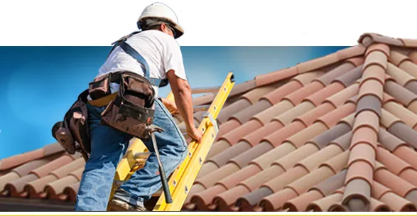 Cert-A-Roof Picture 6