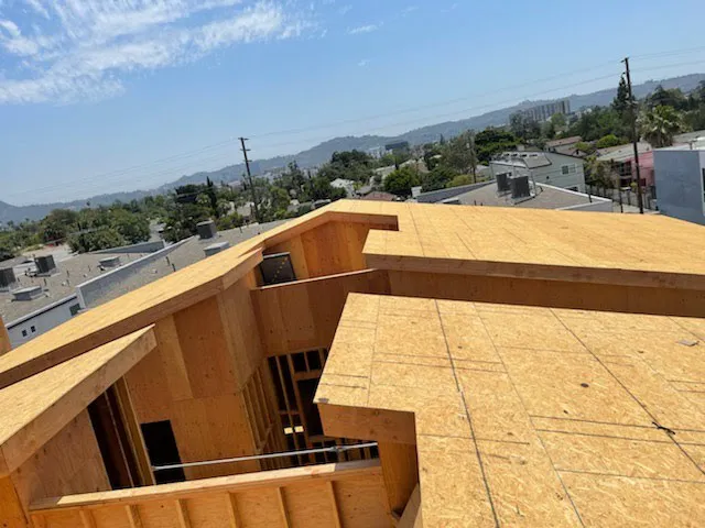 Viza Roofing Picture 5