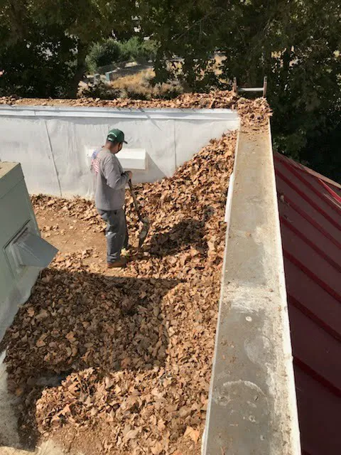 Viza Roofing Picture 6