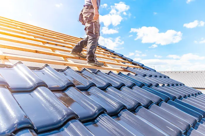 Shingle Guard Roofs Picture 2