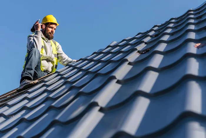 Shingle Guard Roofs Picture 5