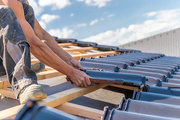 Shingle Guard Roofs Picture 3