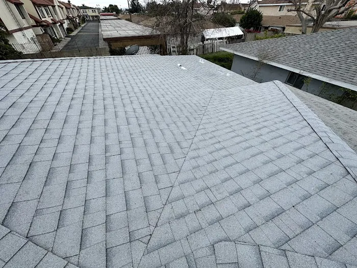 Semilla De Mostaza Roofing Picture 1
