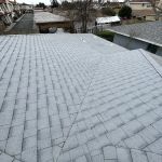 Semilla De Mostaza Roofing