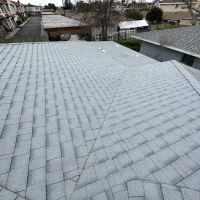 Semilla De Mostaza Roofing ico