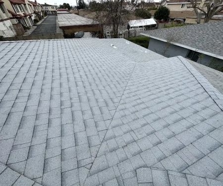 Semilla De Mostaza Roofing