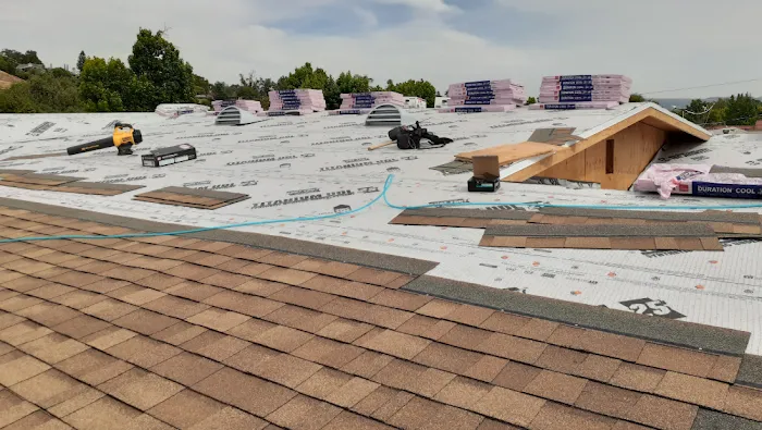 Semilla De Mostaza Roofing Picture 2