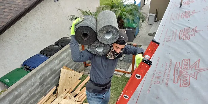 Semilla De Mostaza Roofing Picture 5