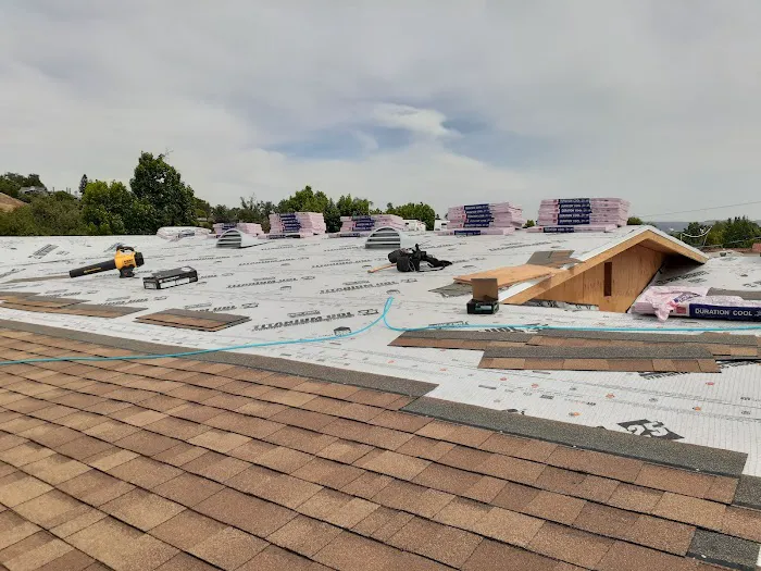 Semilla De Mostaza Roofing Picture 4