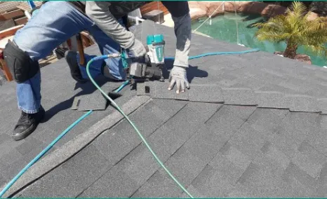 Semilla De Mostaza Roofing Picture 6