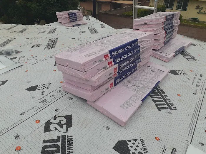 Semilla De Mostaza Roofing Picture 8