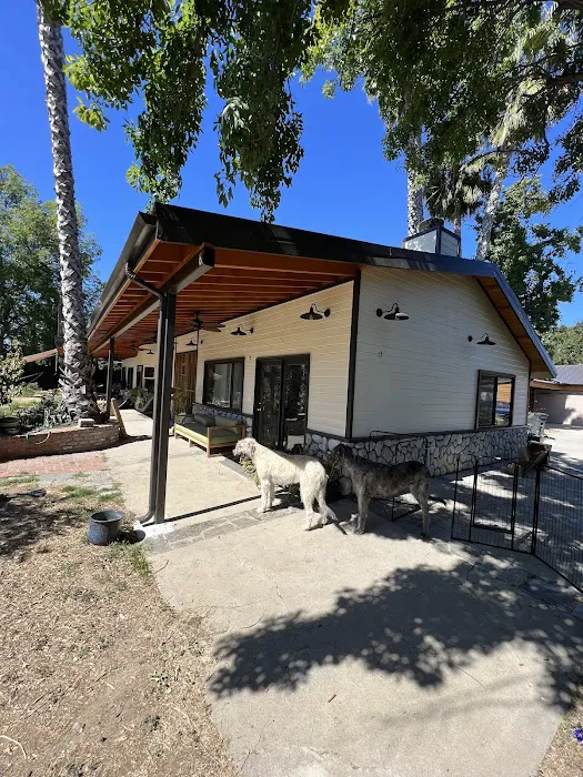 Factor Roofing Picture 9