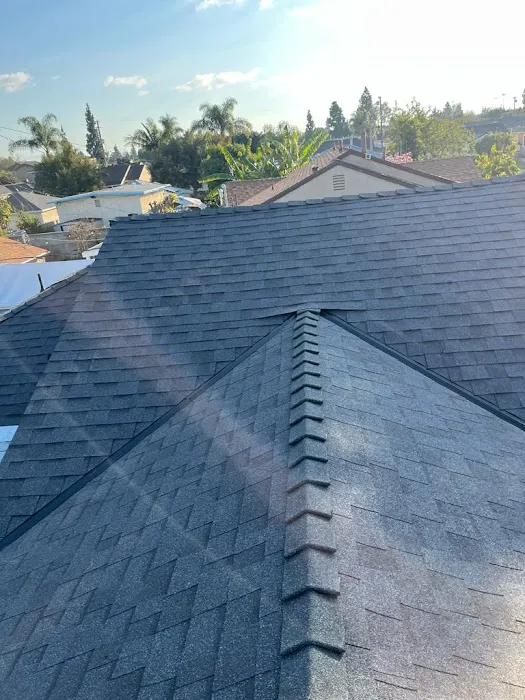 Pacific LA Roofing Repair Picture 1