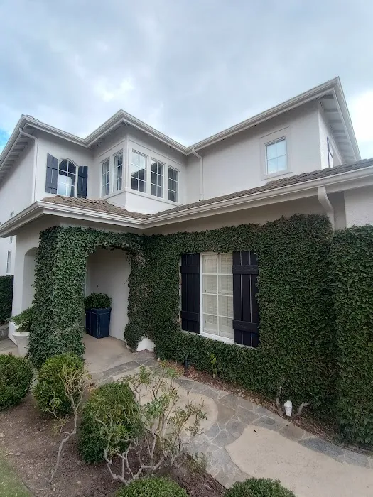 Perfect Painting Picture 6