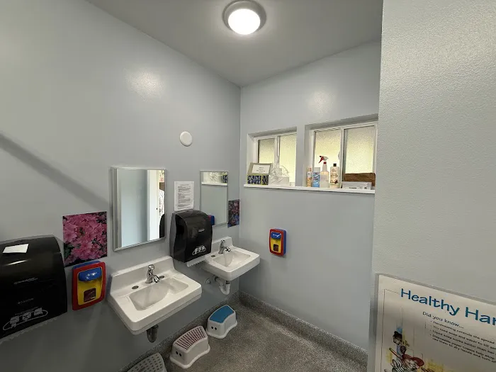 Perfect Painting Picture 8