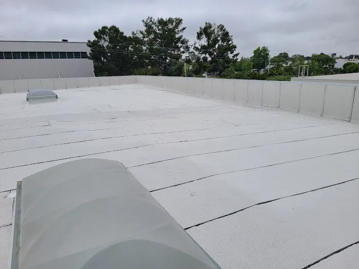 Blue Shoe Roofing Picture 3