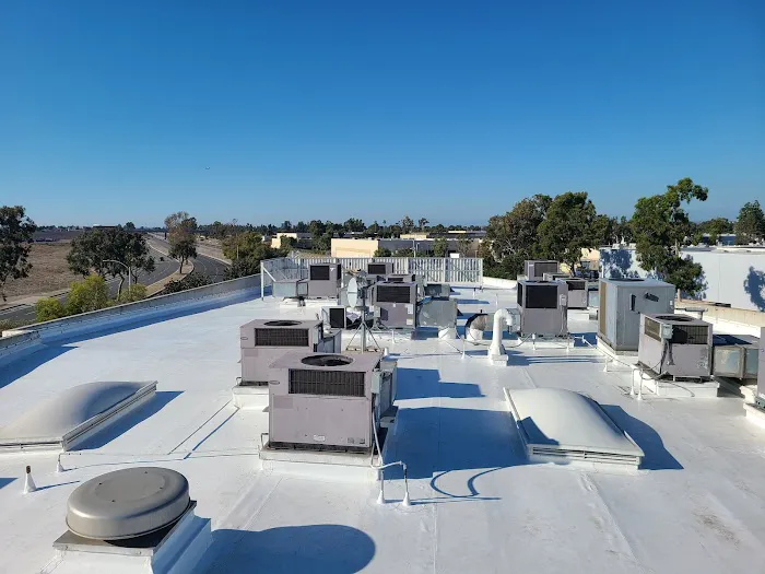 Blue Shoe Roofing Picture 2