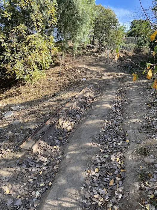 CPF Masonry Picture 5