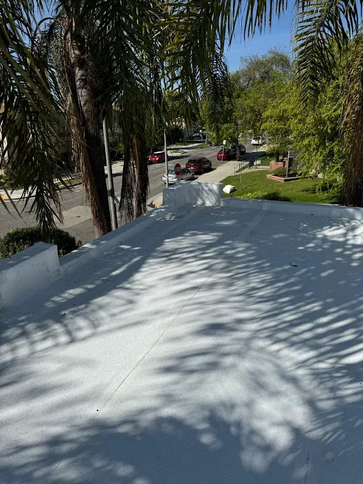 Silver Roofing Specialist Picture 6