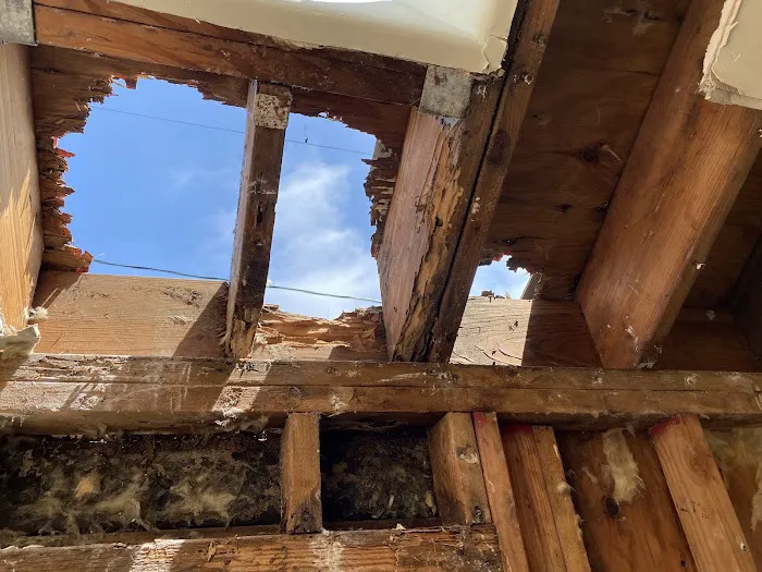Adam's Roofing Picture 4