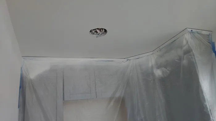 RIVERA PAINTING Picture 5