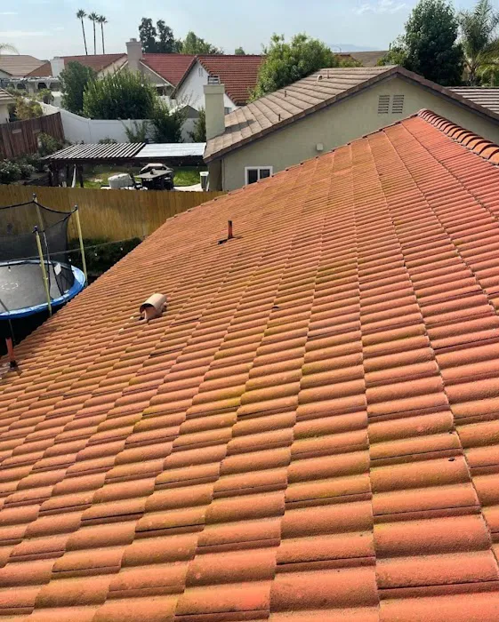 Roofers Expert Picture 2