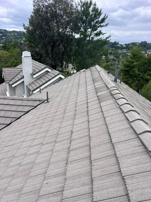 AAA Jack The Roofer Picture 5