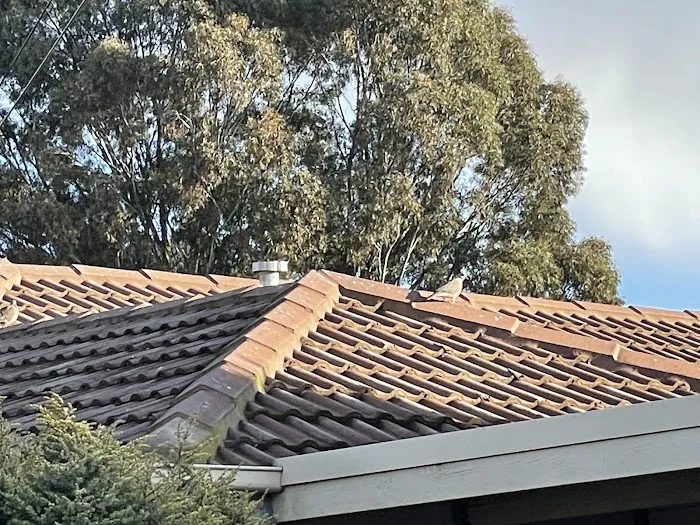Team Zee System Ridge Roofing Picture 4