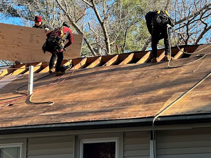 Ferreira Exteriors Picture 6