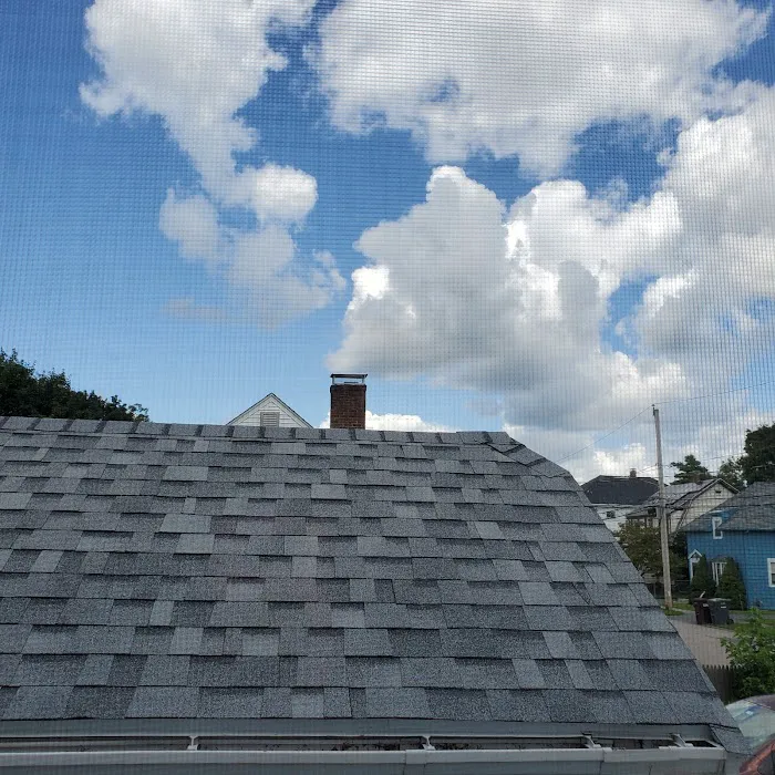 O'LYN Roofing Picture 2