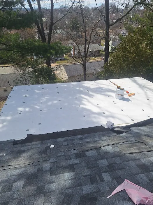 O'LYN Roofing Picture 9