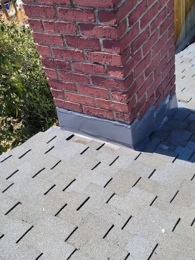Go Roof Tune-Up, Inc. Picture 5
