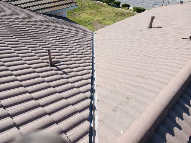 Go Roof Tune-Up, Inc. Picture 8