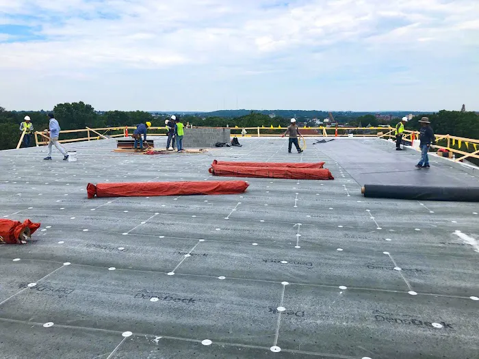 NEPS Roofing Picture 4