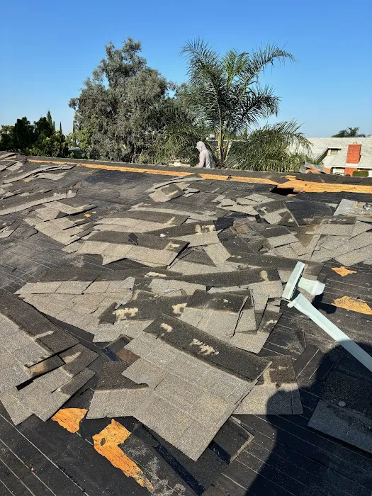 Double Eagle Roofing & Waterproofing Picture 6