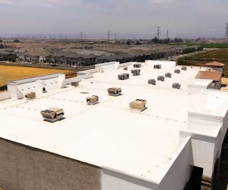 Reyes Single Ply Roofing Mstrs