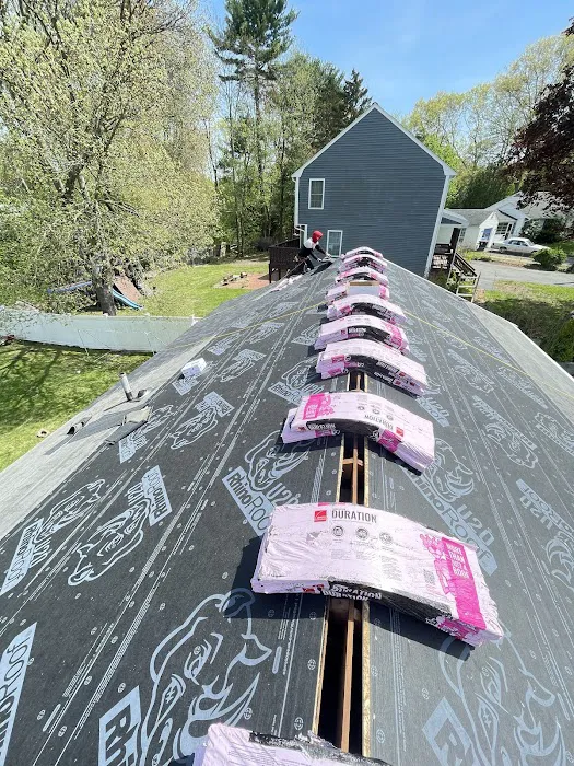 Century Home Renovation Picture 2