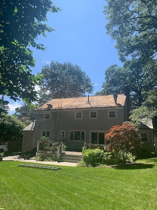 Roof Tops Picture 10