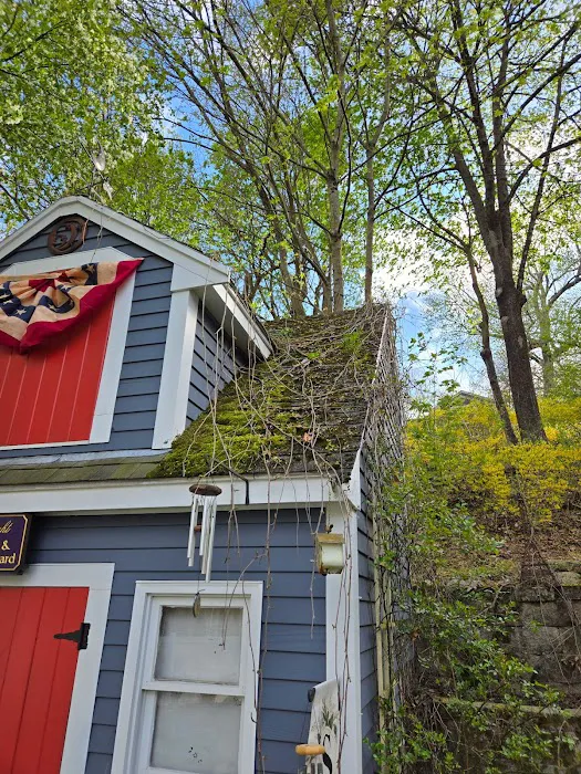 Leland Siding, Roofing & Windows Picture 9