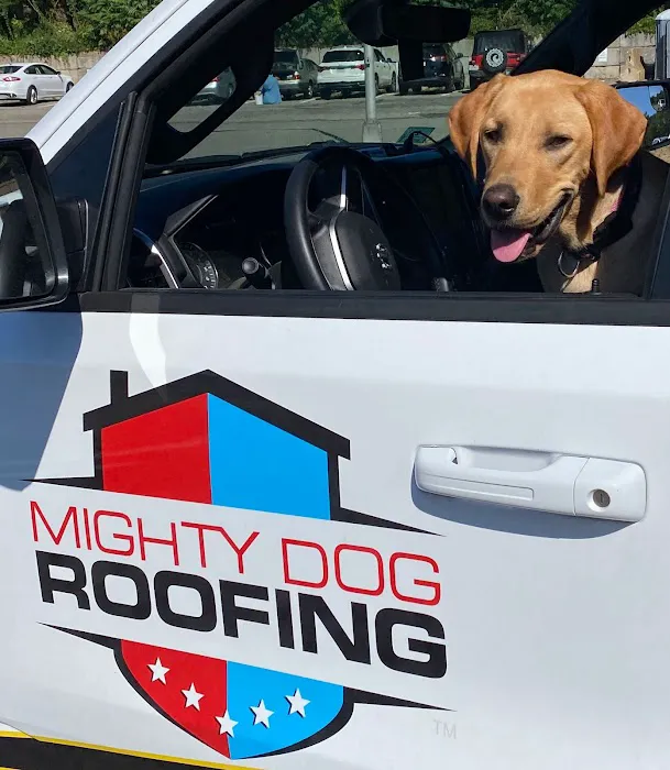 Mighty Dog Roofing MetroWest Boston Picture 1